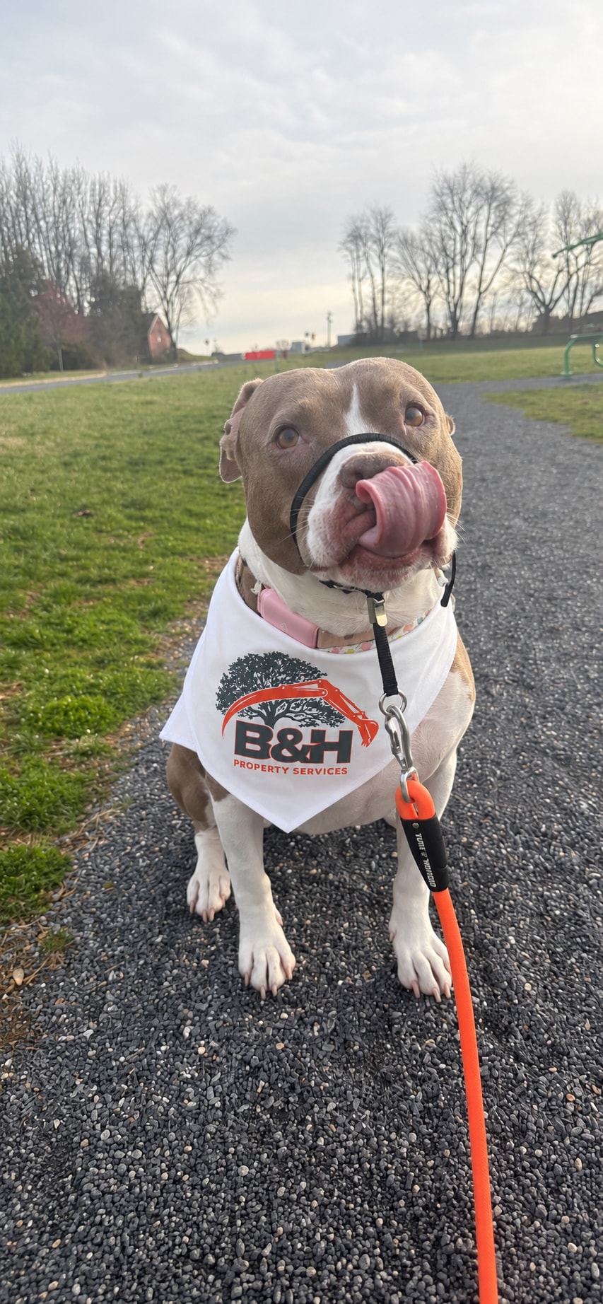 B&H Property Services mascot wearing a branded bandana